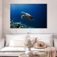 thumbnail image 2 of Elephant Stock Turtle Adventure Wall Art - Horizontal Canvas Wall Art - Living Room Wall Decor - Animal Canvas - Blue And Turquoise Decor - 51" x 34", 2 of 8