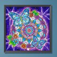 thumbnail image 1 of Cuadros Decorativos Kit de pintura de diamante con forma especial parcial de bricolaje 5D Decoración de mariposa(1) Wdftyju embutido en tela, 1 of 1
