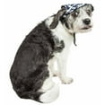 thumbnail image 4 of Pet Life HT5ZBLG Bone Cappa Graffiti Sculptured UV Protectant Adjustable Fashion Dog Hat - Zebra Pattern, Large, 4 of 5
