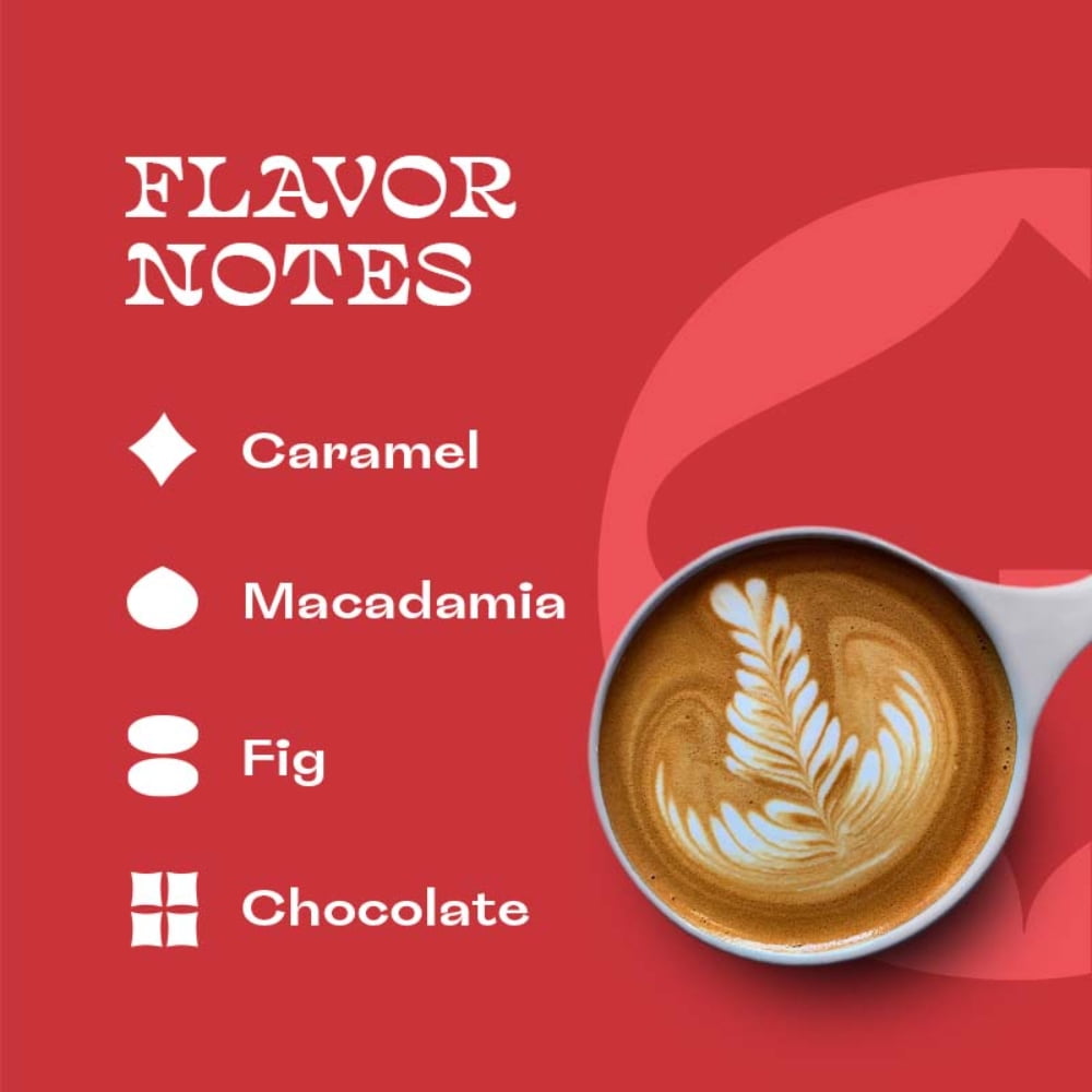 Gumption Coffee | Goodness Galileo - Bold Blend | Whole Bean Specialty Coffee | 16oz