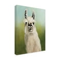 thumbnail image 2 of Trademark Fine Art 'Whos Your Llama I Green' Canvas Art by Julia Purinton, 2 of 3