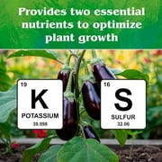 Down To Earth All Natural Fertilizers Organic Solution Grade Potassium Sulfate - Professional Grade SOP Powder 200 mesh for Liquid or Spray Applications 0-0-50, 1 lb