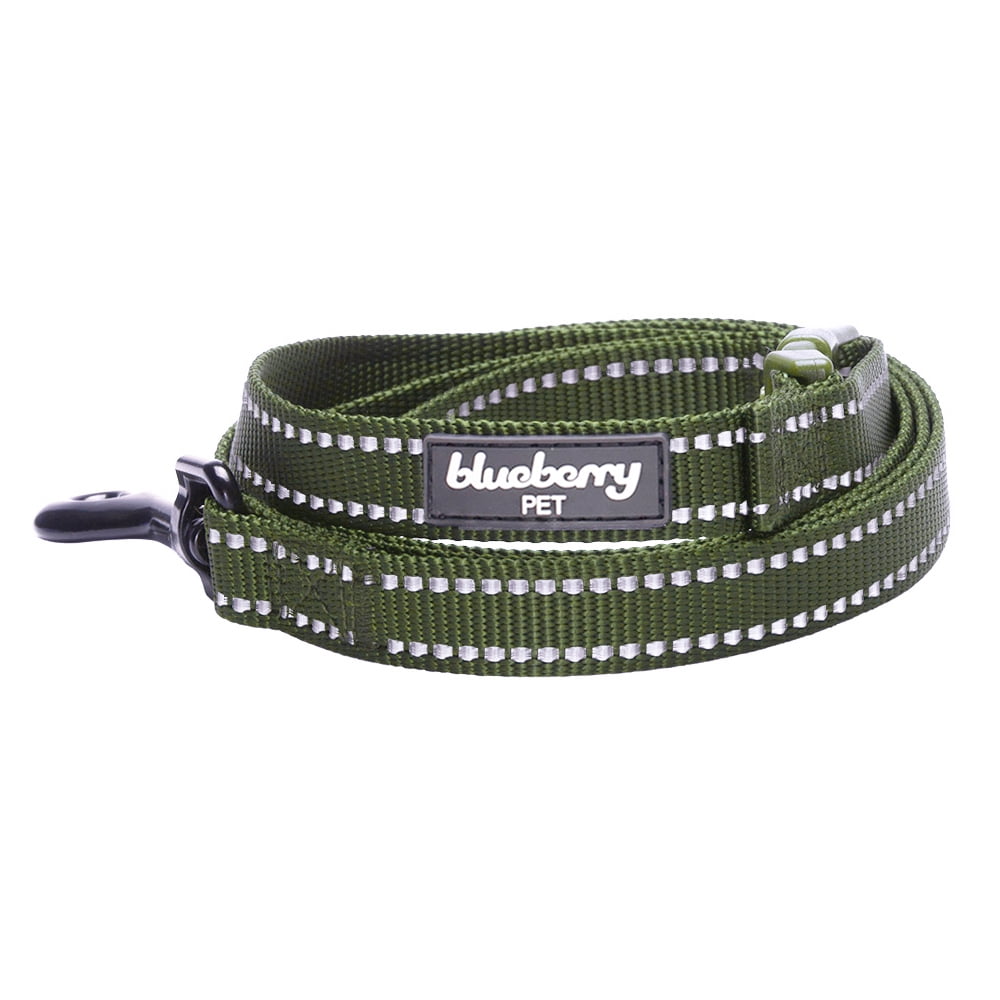 Blueberry Pet Durable 3M Reflective Classic Dog Leash 5 ft x 5/8 Olive Green Small Leashes for Dogs