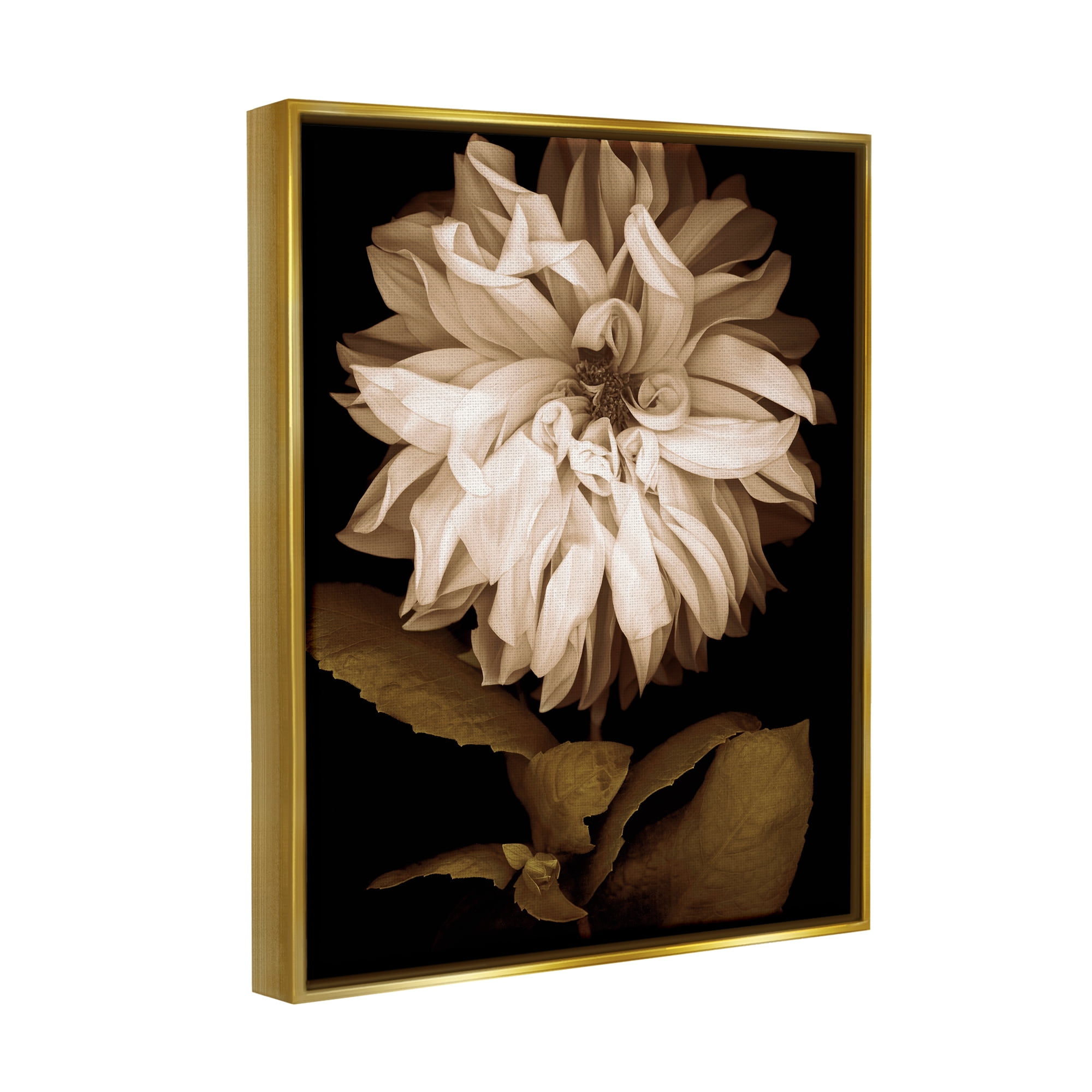 Stupell Modern White Chrysanthemum Petals Botanical & Floral Photography Gold Floater Framed Art Print Wall Art