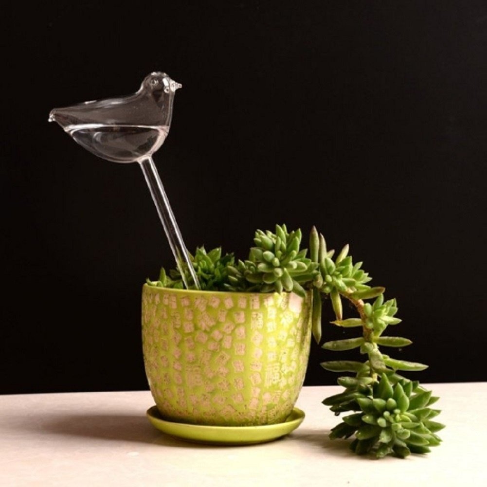 Oiseaux En Verre Soufflé à La Main - Globes D'arrosage Automatique Pour Plantes