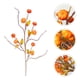 thumbnail image 3 of 3 ramas de calabaza artificiales de otoño, tallos de bayas de calabaza artificiales, adorno para relleno de jarrón., 3 of 5