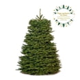 thumbnail image 1 of Árbol Natural noble 1.80 m a 2.10 m, 1 of 4