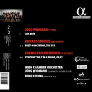 Widmann Irish Chamber Orchestra - Con Brio - Music & Performance - CD