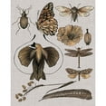 thumbnail image 3 of Wang, Melissa 12x14 Black Modern Framed Museum Art Print Titled - Nature Studies II, 3 of 5