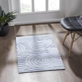thumbnail image 1 of Mainstays Curve Lines Scatter Rug, 24" x 36", 1 of 5
