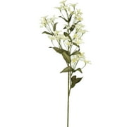 26" Jasmine Spray Stem, Creamy Buttermilk