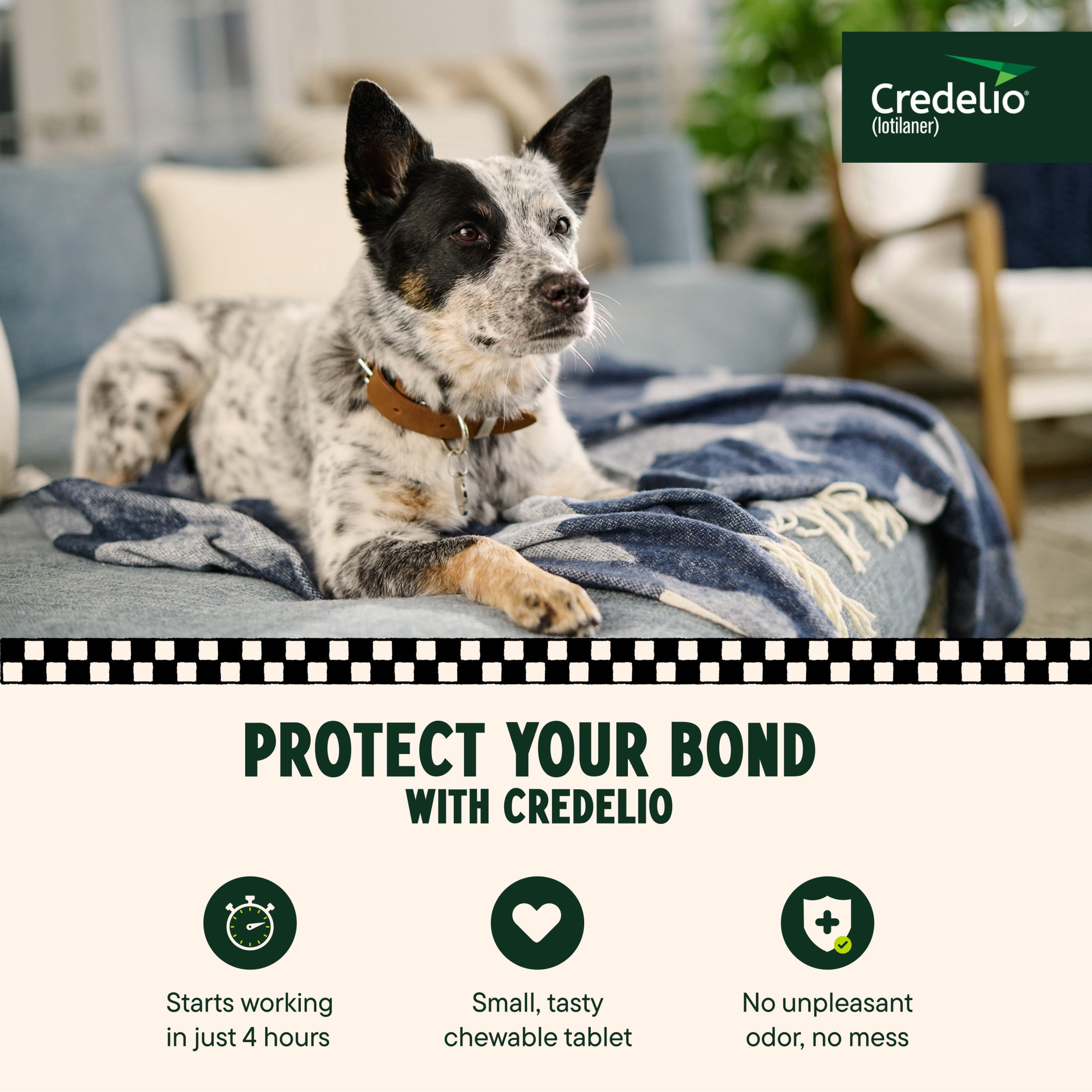 Credelio (lotilaner) Tick & Flea Treatment + Flea Infestation Protection for Dogs 25.1-50.0 lbs. (6 Tablets)