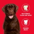 Sentry Petrodex Enzymatic Toothpaste for Dogs Poultry Flavor, 6.2 Oz