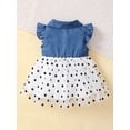 thumbnail image 4 of OLLUISNEO 4-5T Toddler Baby Girls Summer Dress Flying Sleeve Stitched Polka Dot Mesh Dress, 4 of 8