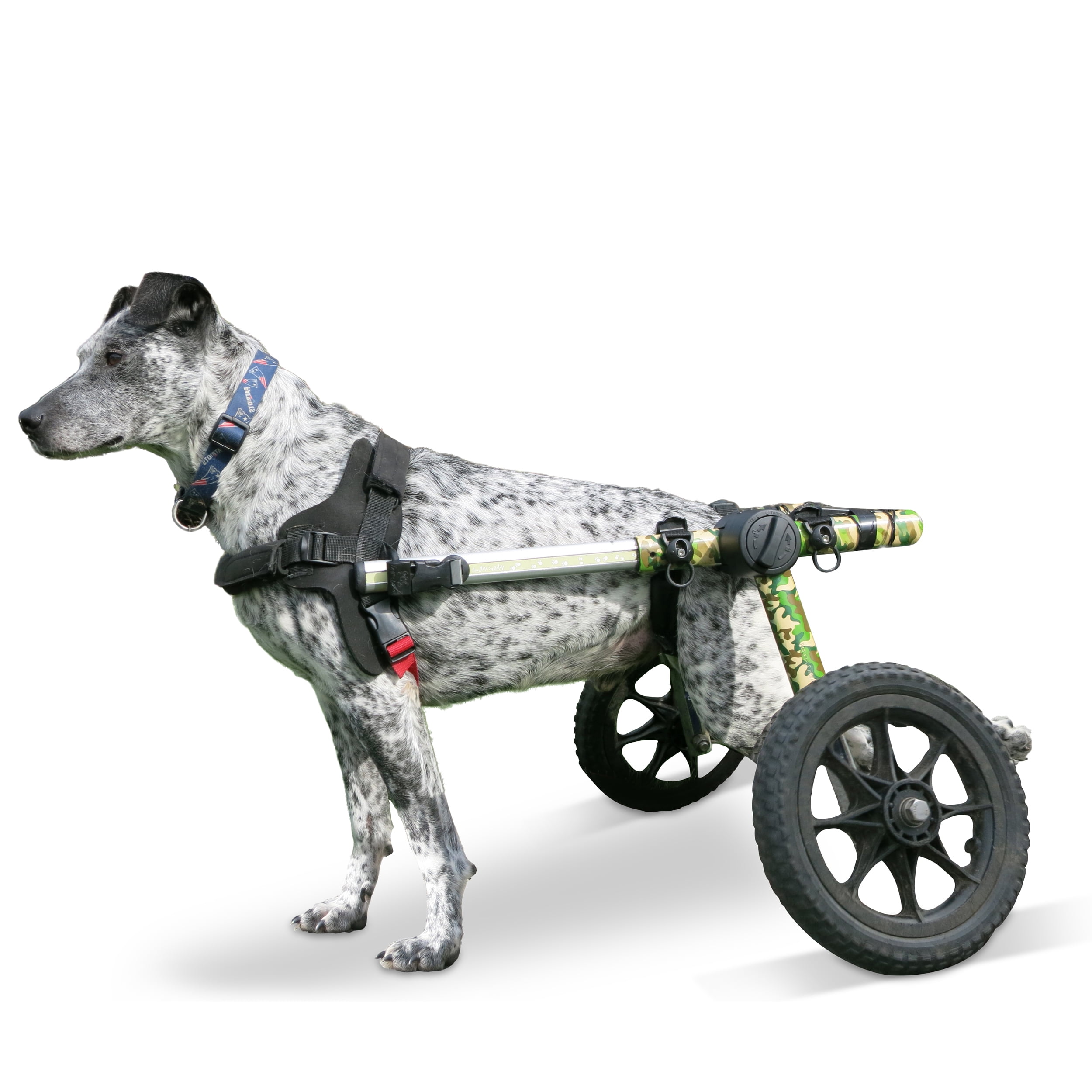 Dog wheelchair