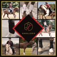 thumbnail image 4 of Kavallerie Classic Fetlock Boots, Impact-Absorbing and Air-Perforated Material, Durable & Evenly Distributes Pressure, Fetlock Injury Protection, Non- Slip with Soft Lining Show Jumping Boots - Small, 4 of 4
