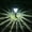 Black B, variant on AuroraX Solar Ground Insert Night Light Outdoor Solar Lights for Yard Decorative Stake Waterproof LED Lawn Outdoor Garden Decoration Black