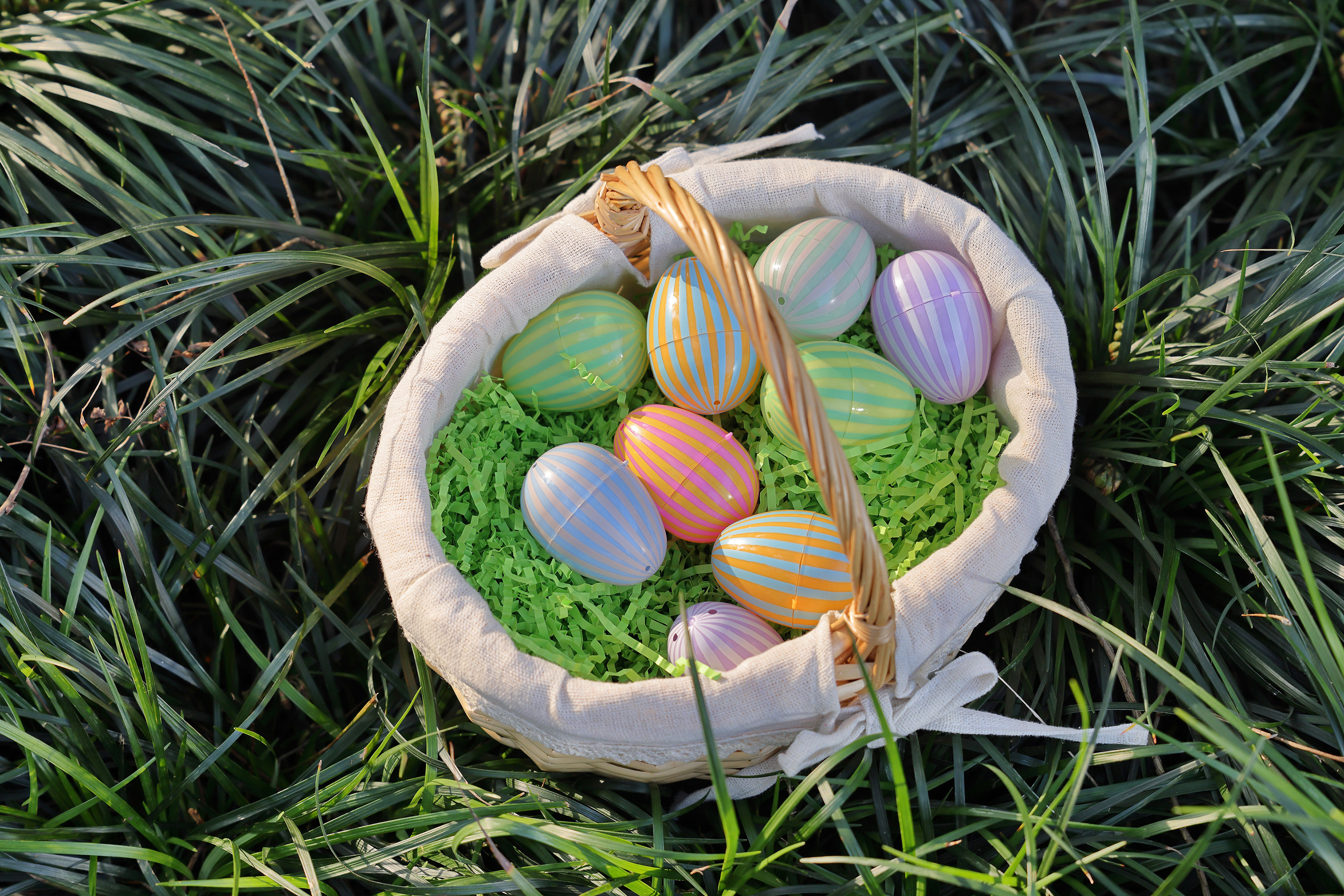 12CT 1.5`` STRIP EGG