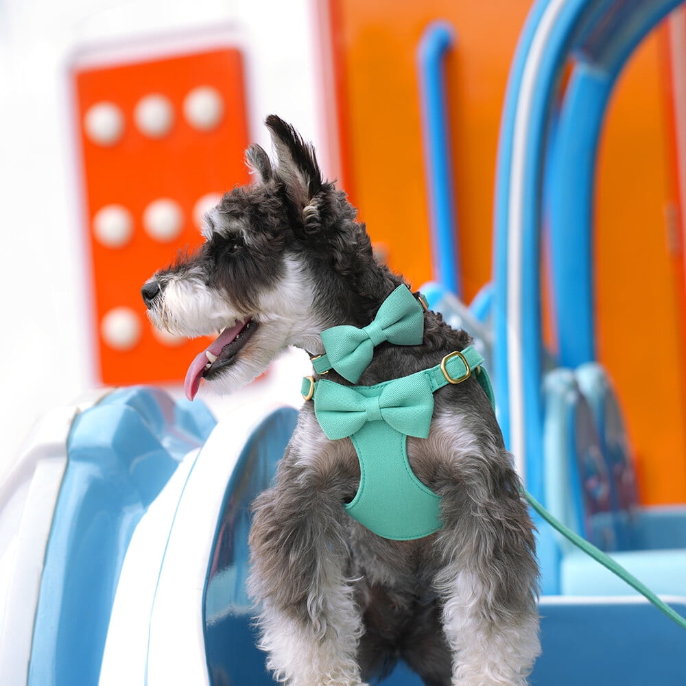 Didog Cute Small Dog Vest Harness & Collar & Leash & Poo Bag Holder set for Puppy Cats Pet Yorkie