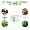 thumbnail image 5 of Vplus 100% Compostable 5 Compartment Bagasse Paper Plates, 10.25*8.5 inch,500pack, 5 of 9