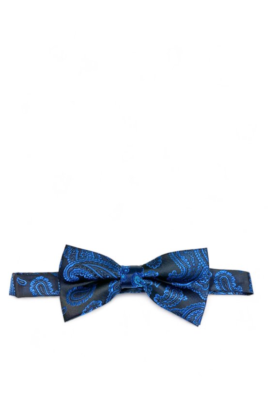 Royal Blue and Black Fashionable Paisley Bow Tie