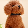 thumbnail image 4 of Dog Harness Pet Puppy Vest Leash Lead Rope Collar Set Heavy Duty Chest Harness for Small Medium Large Dogs Training Walking, 4 of 9