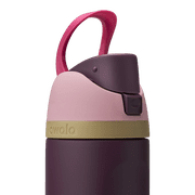 Owala FreeSip Stainless Steel Water Bottle, 24oz, Wild Heart