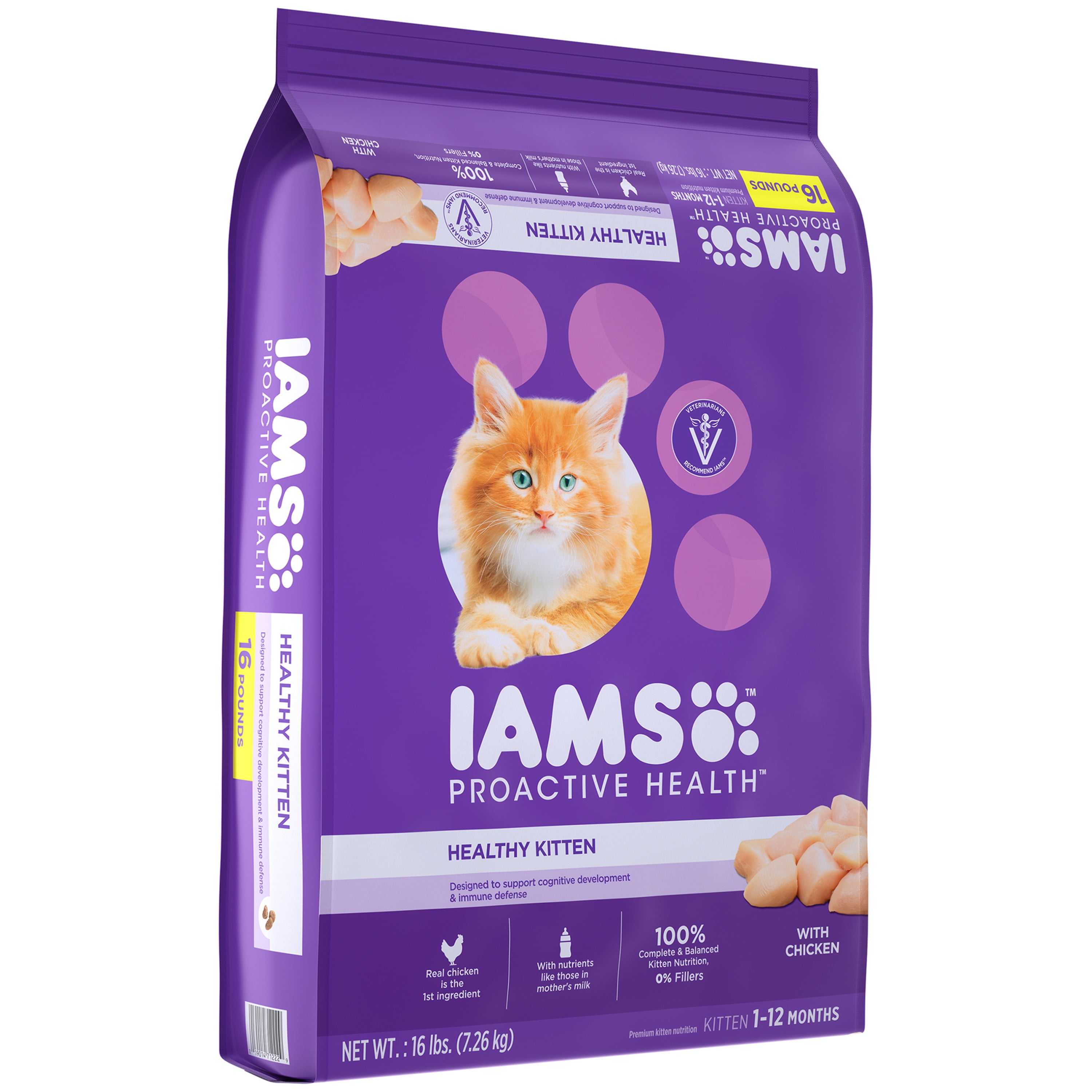 best kitten iams proactive health dry kitten food