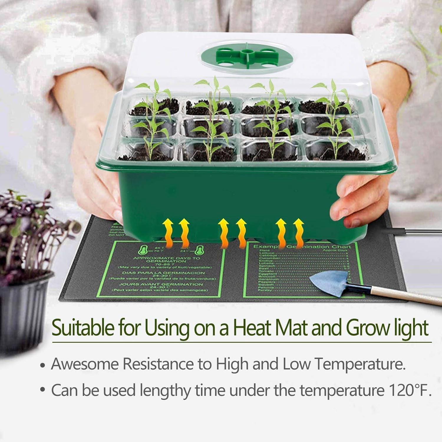 Seed Starter Tray, 6 Set with Adjustable Humidity Dome, Plant Starter Kit for Seeds Growing