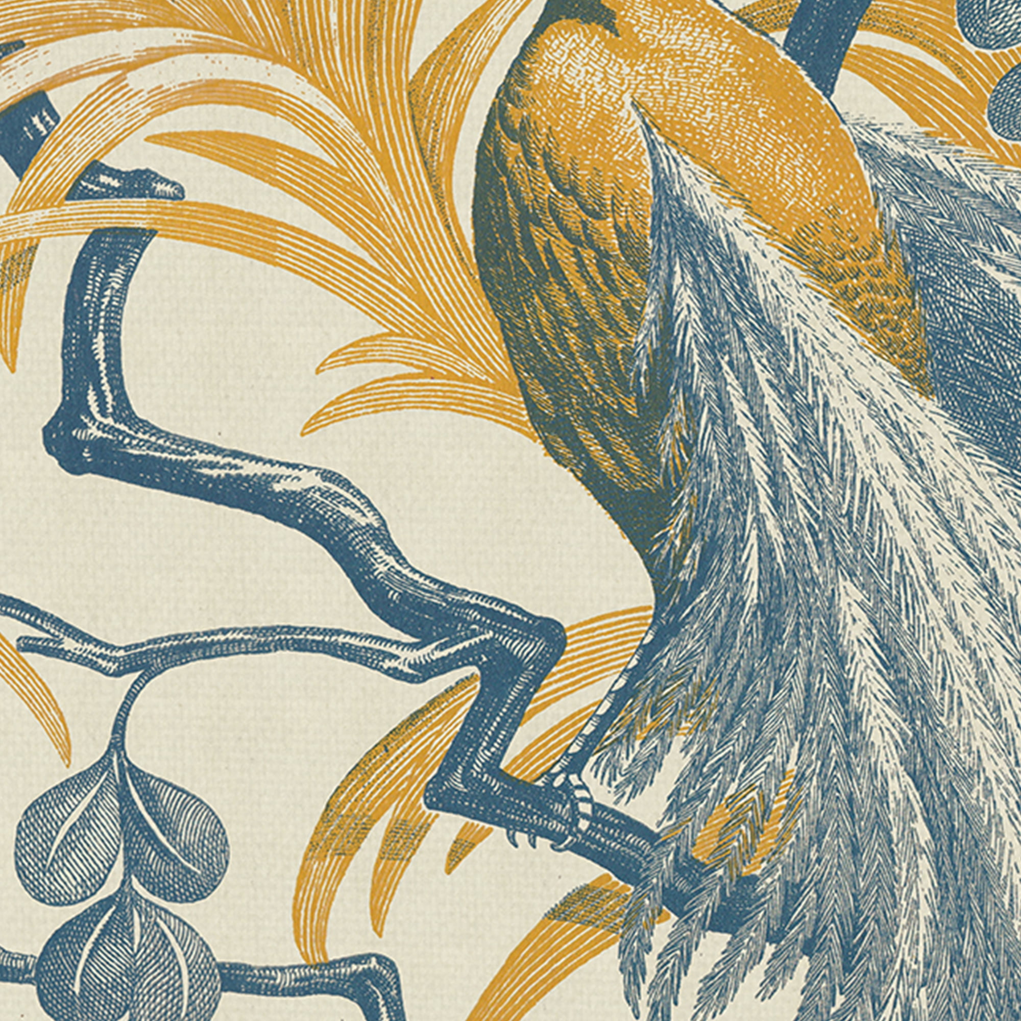 Feathered Fantasia by The Vintage Collection Peacock Canvas Art