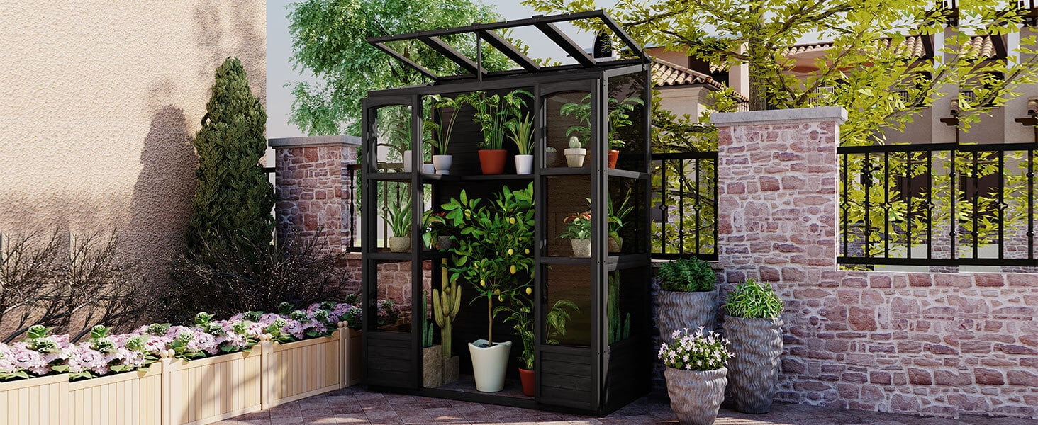 EUROCO 78" Wood Large Greenhouse Cold Frame, Portable Walk-in Outdoor Greenhouse with Openable Roof, 4 Independent Skylights and 2 Folding Middle Shelves, Black
