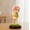 Pink 1, variant on Preserved Rose in Glass Dome Eternal Dried Flower Bouquet Home Decor Gift for Her