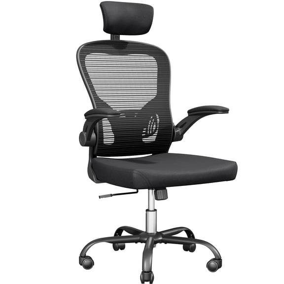 FW Ergonomic Office Chair, High-Back Mesh Desk Chair with Padded & Adjustable Headrests, Comfortable Lumbar Support, for Home, Work, Study