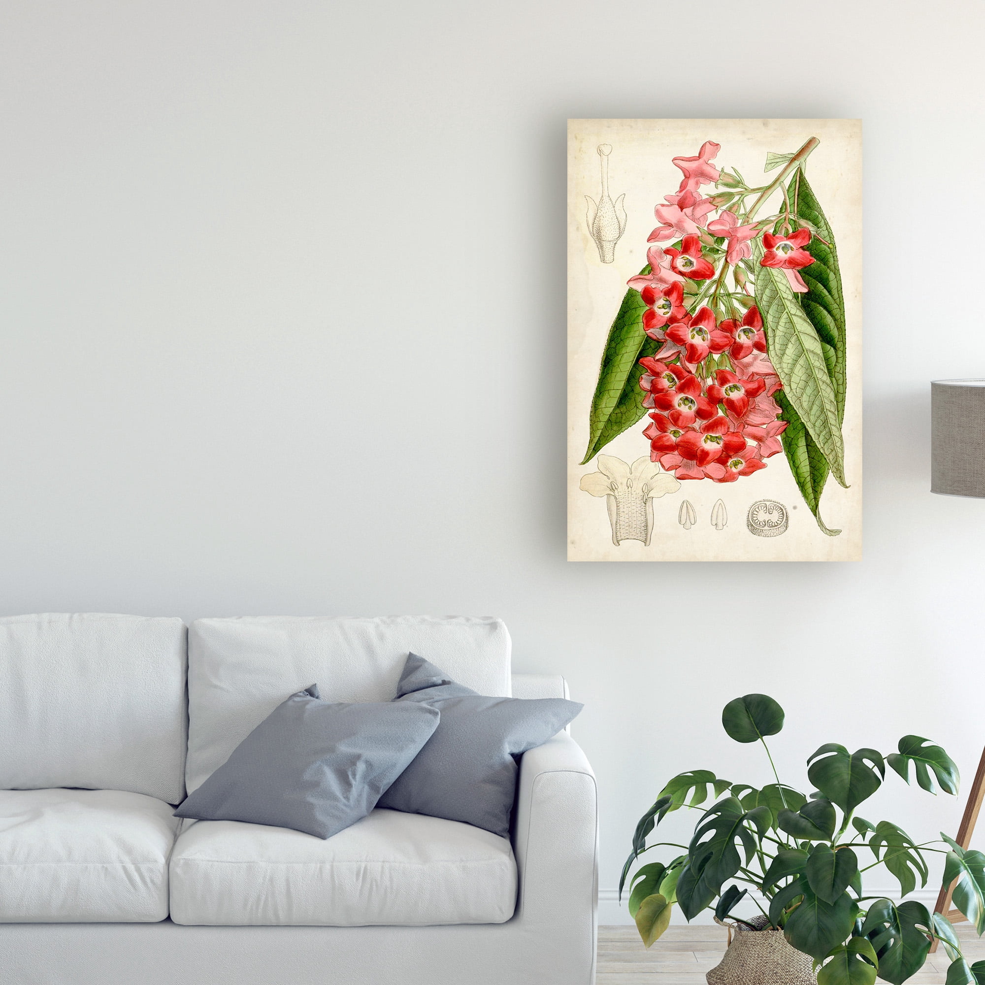 Trademark Fine Art 'Tropical Gems IV' Canvas Art by Curtis