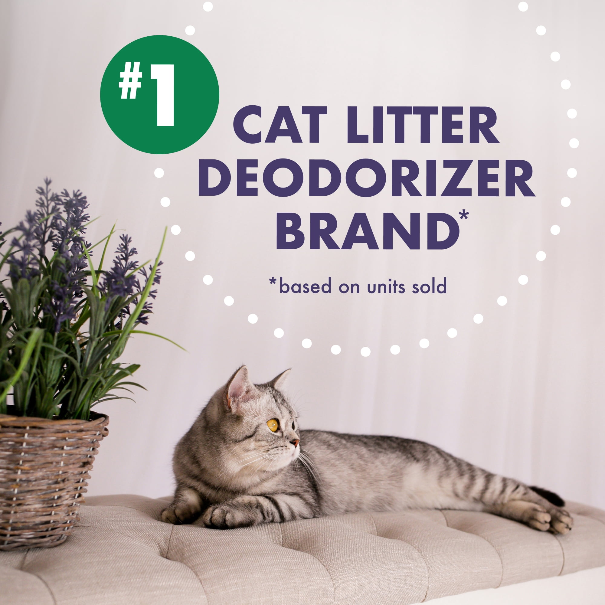 (2 pack) ARM & HAMMER Forever Fresh Cat Litter Deodorizer, Pet-Friendly Lavender Scent, 42.6 oz