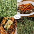 thumbnail image 3 of Set 2 Thyme Live Plant 3-6 Inch Tall, Fragrant Thyme Plants Live Seedling for Planting, Perennial Herb Plants Indoor Outdoor (French Thyme), 3 of 6