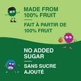 thumbnail image 3 of GoGo squeeZ Gourdes-Collation de Compote de Fruits Assortiment, Pomme, Pomme Raisin, Pomme Petits Fruits, Sans Sucre Ajouté Boîte de 20 Gourdes, 3 of 7
