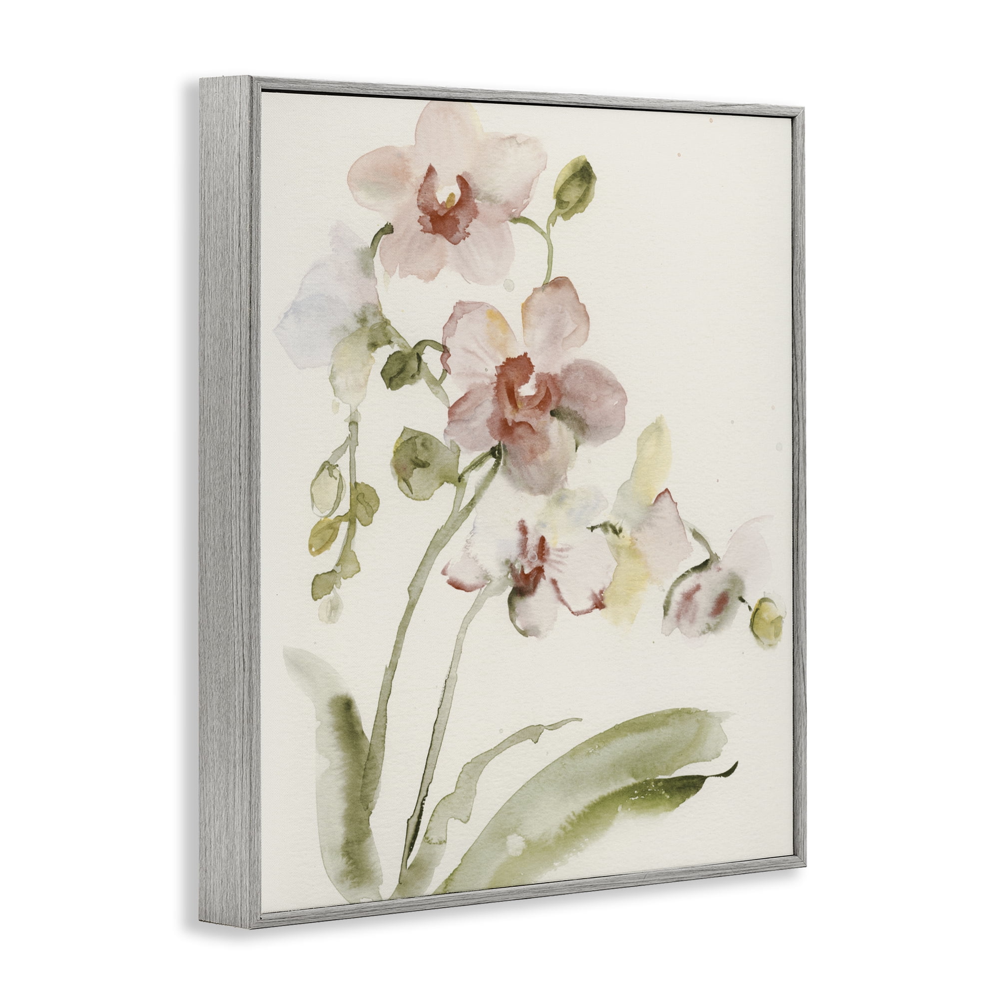 Stupell Industries Gentle Pink Orchid in Bloom Gray Framed Giclee Art, design by Victoria Barnes