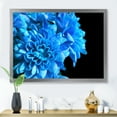 thumbnail image 3 of Designart 'Detail of Blue Flowers On Black Background I' Traditional Framed Art Print, 3 of 4