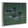 thumbnail image 4 of Stupell Industries Peaceful Loon Duo Animals Painting Gray Floater Framed Canvas Art Print Wall Art, 31 x 25, 4 of 10