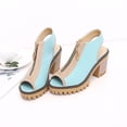 thumbnail image 2 of SACFOF Women's Chunky Stacked High Heel Sandals Peep Toe Front Zipper Cutout Platform Block Heeled Sandal, 2 of 6
