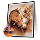 thumbnail image 2 of Cuadros Decorativos 5D diamante pintura caballo completo redondo taladro DIY pared artesanía mosaico Rhinestone arte Likrtyny embutido en tela, 2 of 9