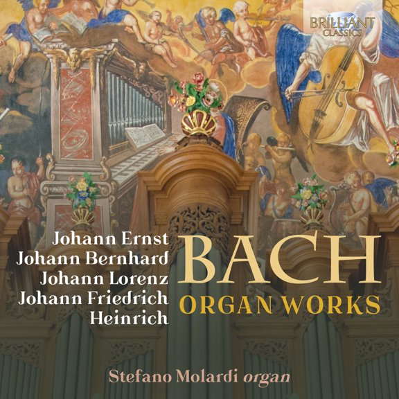 Various Artists - Organ Works - Music & Performance - CD