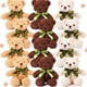 thumbnail image 1 of Oso de peluche HyDren de 10 pulgadas, 12 unidades para recuerdos de fiesta, 1 of 7