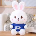 thumbnail image 1 of 35/60cm Lovely Rabbit Plush Toy Soft Cartoon Animal Big Ear Bunny Doll Stuffed Baby Accompany Pillow Kawaii Birthday GiftsBlue60cm Deng Xun unisex, 1 of 2
