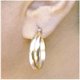 thumbnail image 1 of Earlift Earring Support Patches Special Medical Adhesive for Torn Damaged and Stretched Ear Bules- 5 Pack (300 parches) Earlift 7501-300, 1 of 2