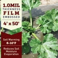 thumbnail image 3 of Harris Seeds Solar Plastic Mulch Film 4 ft x 50 ft Roll, Soil Warming and Weed Control Garden Mulch, 25 Cases, 3 of 7