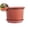 Red, variant on Thicken Flowerpot Plant Pot Planter Flower Pot with Saucer for Garden Plant Pot Home Decoration(Black)