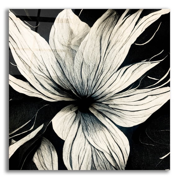 Epic Art 'Flowers Black White 32' by Ray Heere, Acrylic Glass Wall Art, 12"x12"