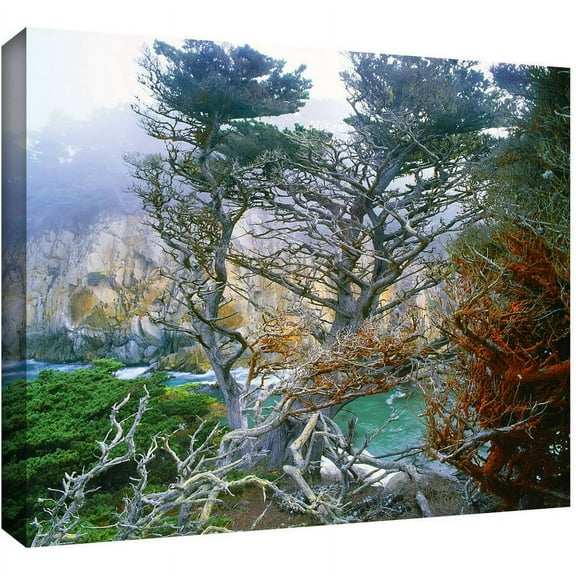 Dean Uhlinger "Whalers Cove Morning Point Lobos" Gallery-Wrapped Canvas